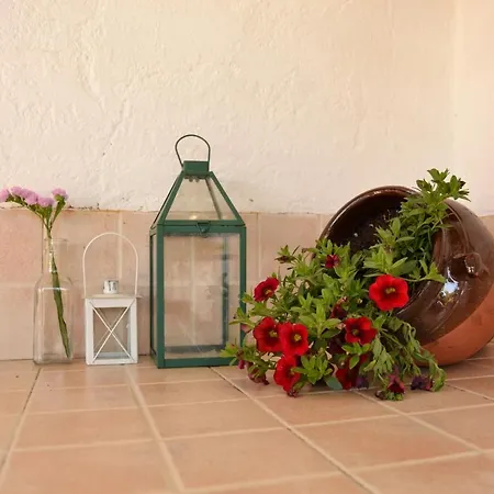 La Orquidea De Kordoba