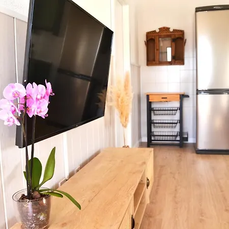 La Orquidea De Holiday home Cordoba